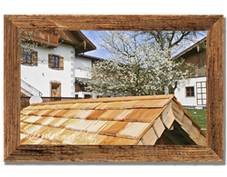 Schneiderbauer-Hof Lamprechtshausen - Fleckvieh-Kalbinnen Aufzucht